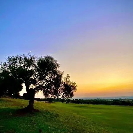 Calle Larga 46 Appartement